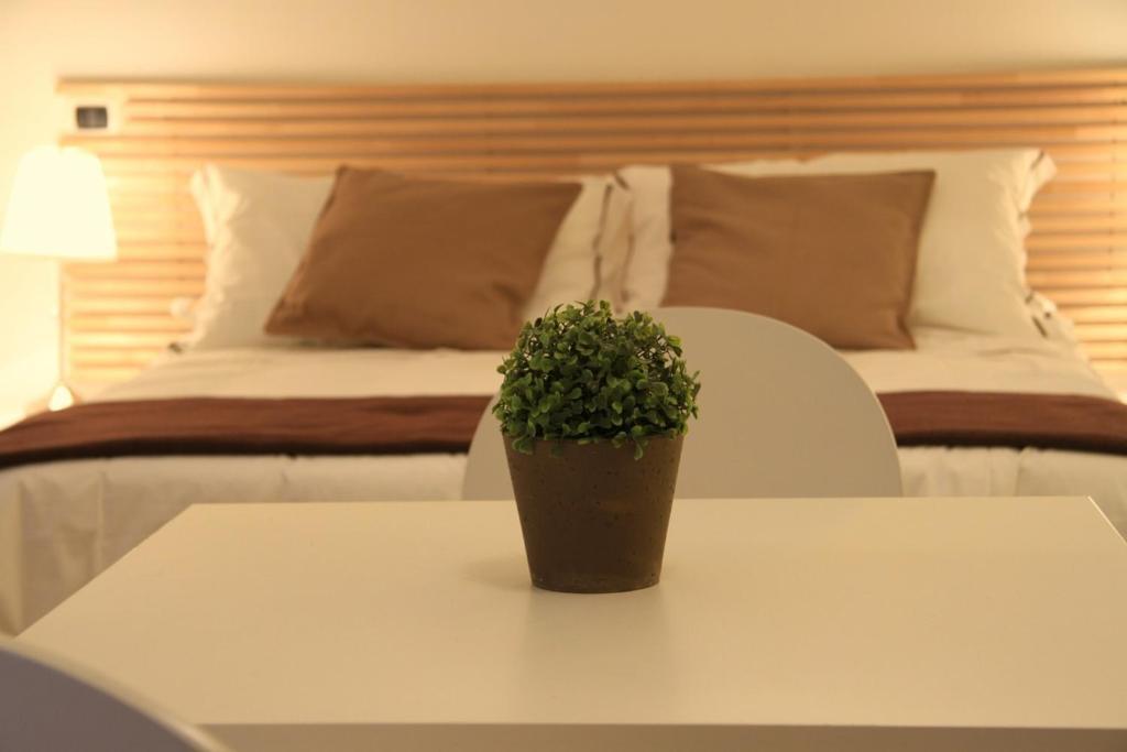 Dalmati House Roma